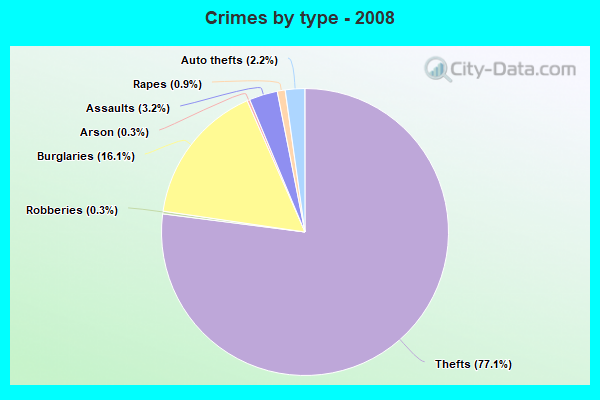 Crimes by type - 2008