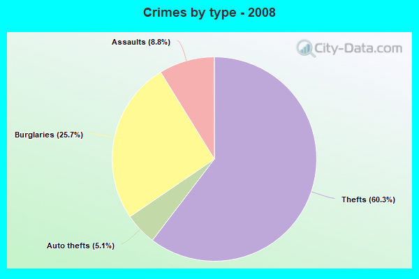 Crimes by type - 2008