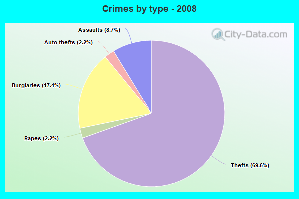 Crimes by type - 2008