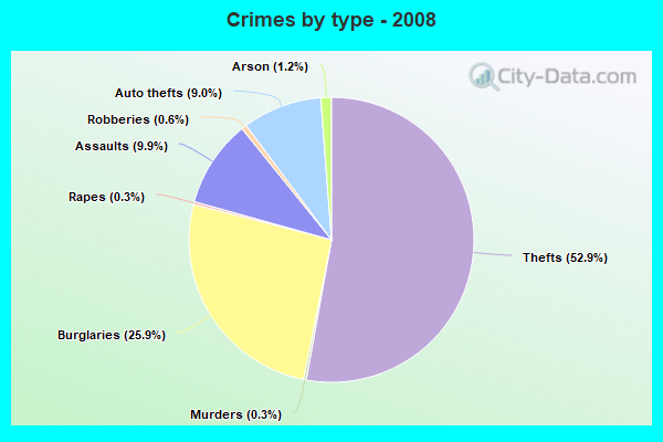 Crimes by type - 2008