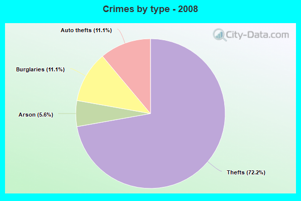 Crimes by type - 2008