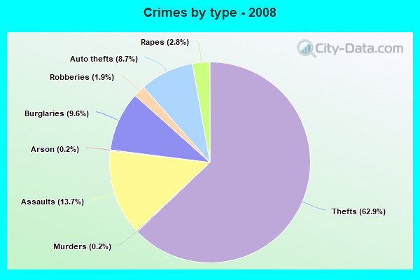 Crimes by type - 2008