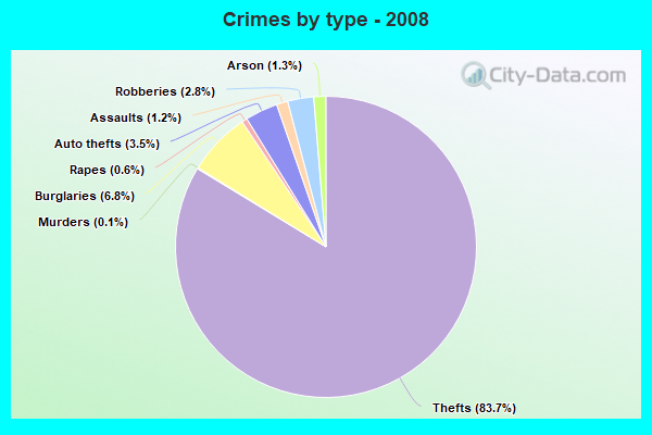 Crimes by type - 2008