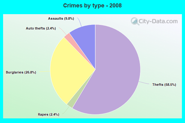 Crimes by type - 2008