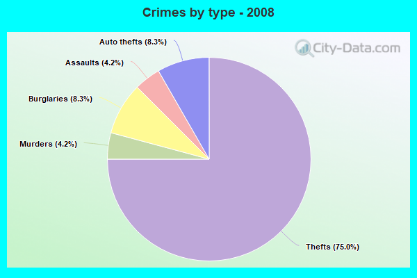 Crimes by type - 2008