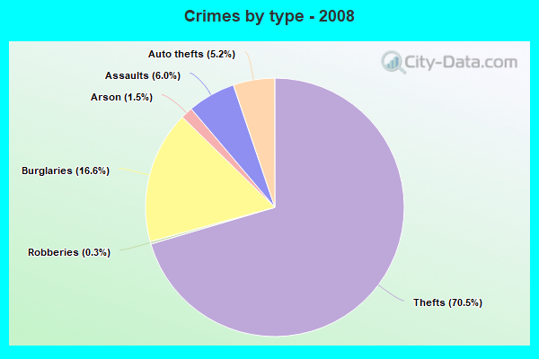 Crimes by type - 2008