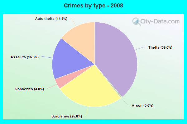 Crimes by type - 2008