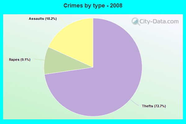 Crimes by type - 2008