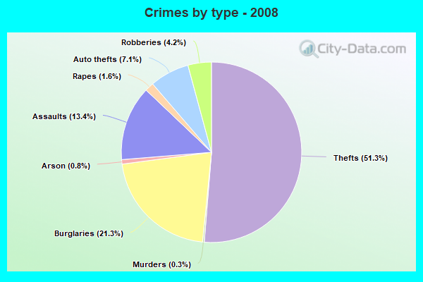 Crimes by type - 2008