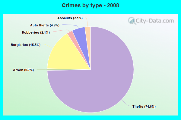 Crimes by type - 2008