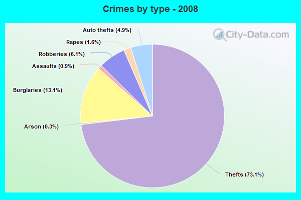 Crimes by type - 2008