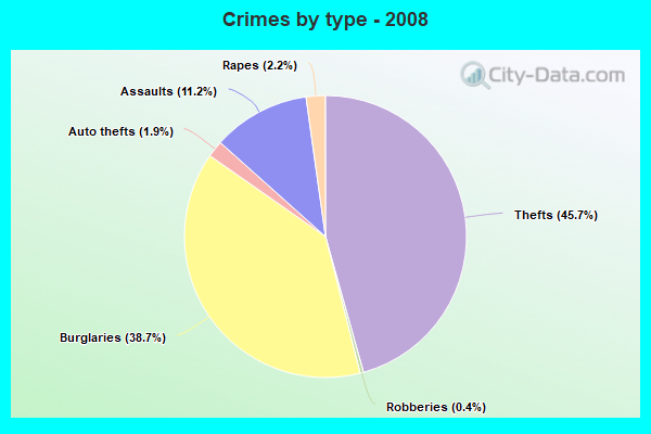 Crimes by type - 2008