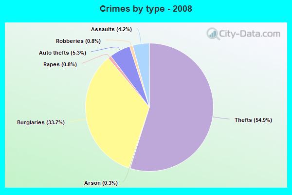 Crimes by type - 2008