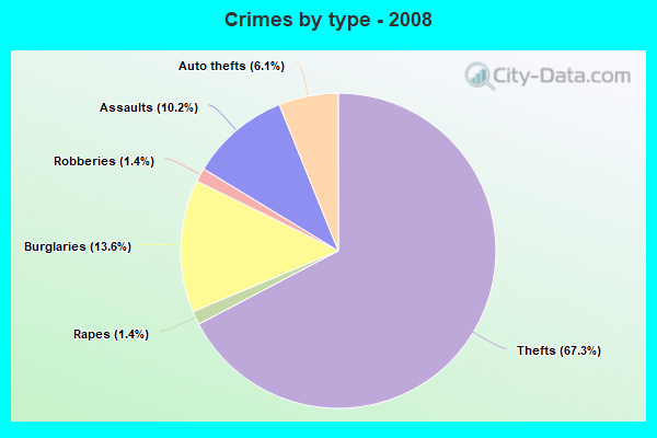 Crimes by type - 2008