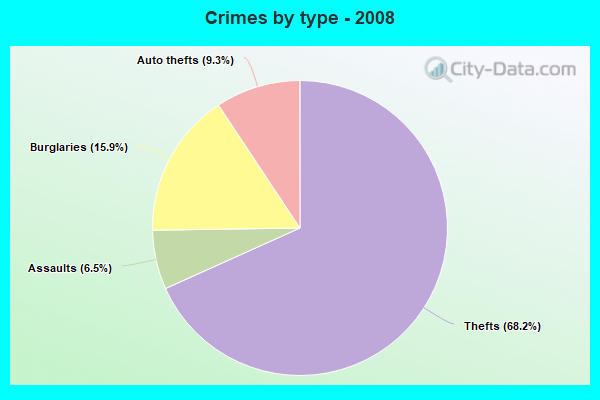 Crimes by type - 2008