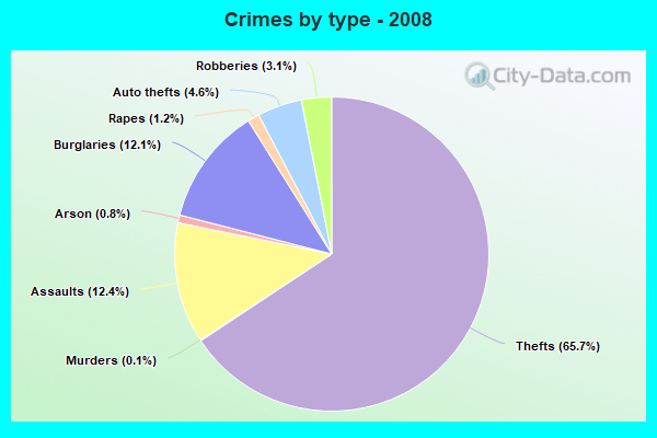 Crimes by type - 2008