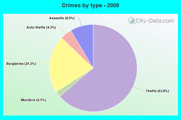 Crimes by type - 2008