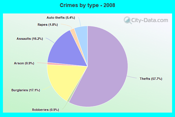 Crimes by type - 2008