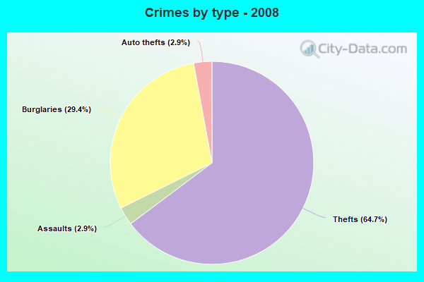 Crimes by type - 2008