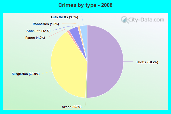 Crimes by type - 2008