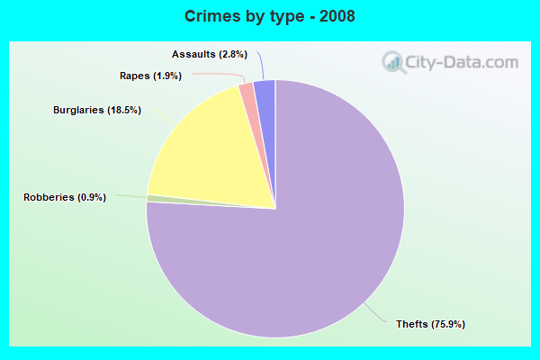 Crimes by type - 2008