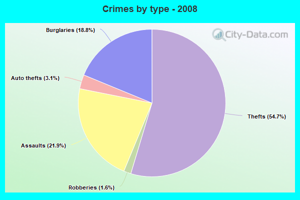 Crimes by type - 2008