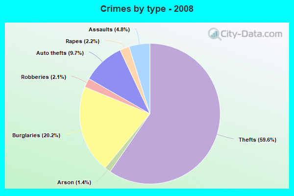 Crimes by type - 2008