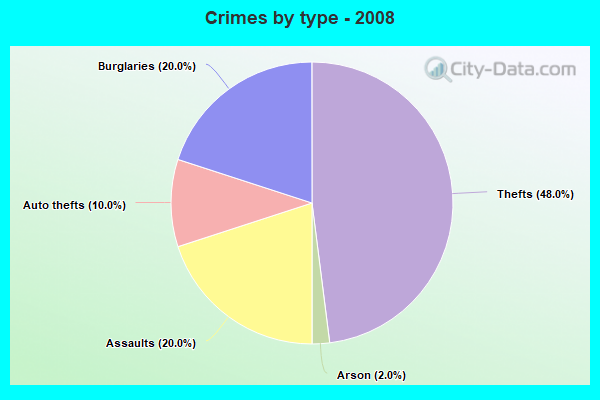 Crimes by type - 2008