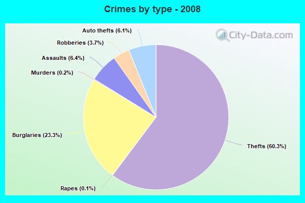 Crimes by type - 2008