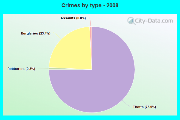 Crimes by type - 2008