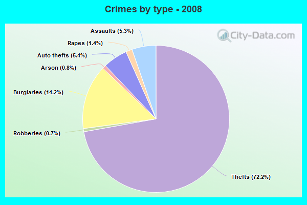 Crimes by type - 2008