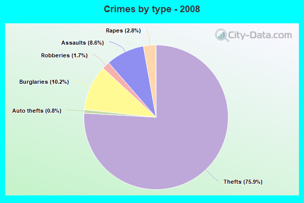 Crimes by type - 2008