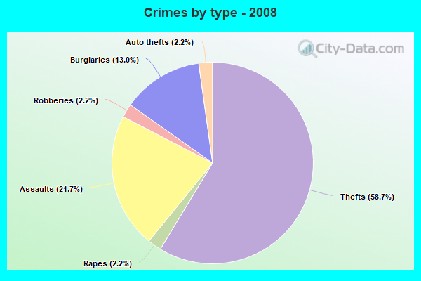 Crimes by type - 2008