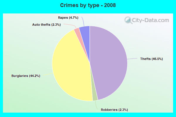 Crimes by type - 2008