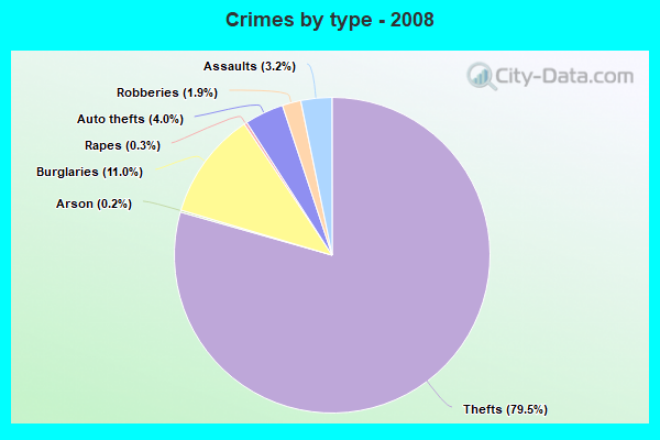 Crimes by type - 2008