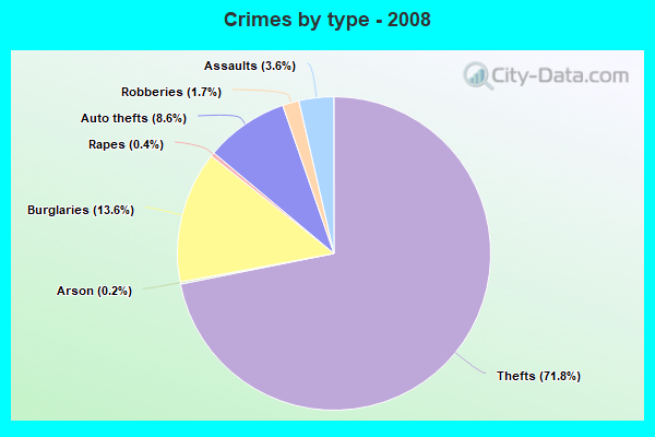 Crimes by type - 2008