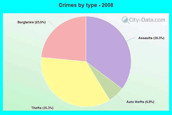 Crimes by type - 2008