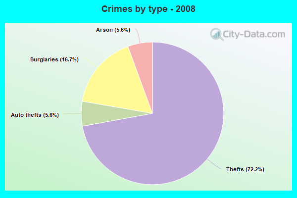 Crimes by type - 2008