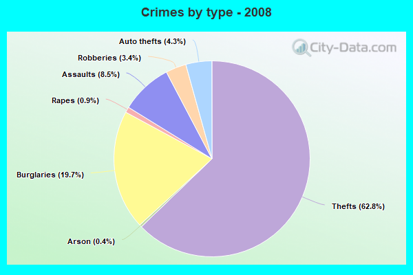 Crimes by type - 2008