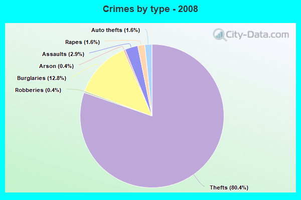 Crimes by type - 2008