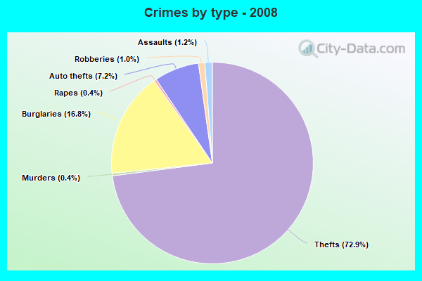 Crimes by type - 2008