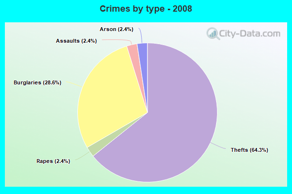 Crimes by type - 2008