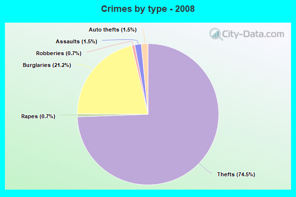 Crimes by type - 2008