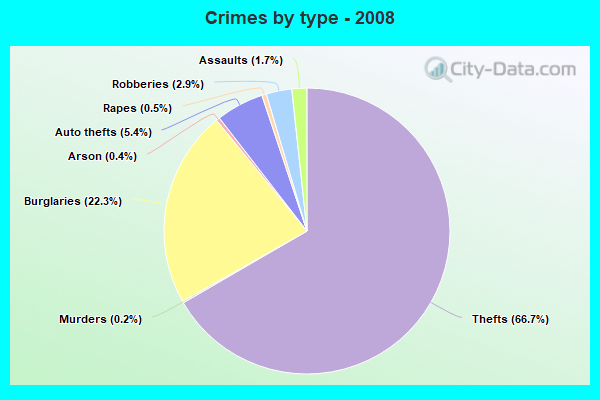 Crimes by type - 2008