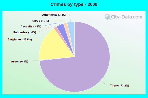 Crimes by type - 2008