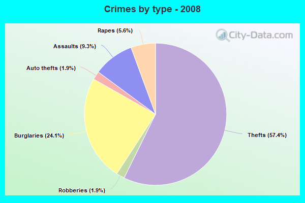 Crimes by type - 2008