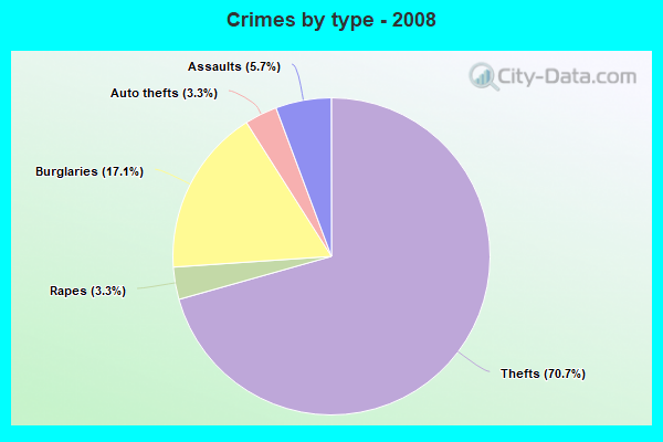 Crimes by type - 2008