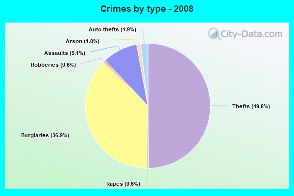 Crimes by type - 2008