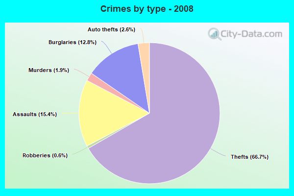 Crimes by type - 2008