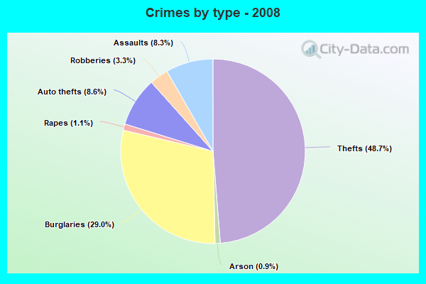 Crimes by type - 2008